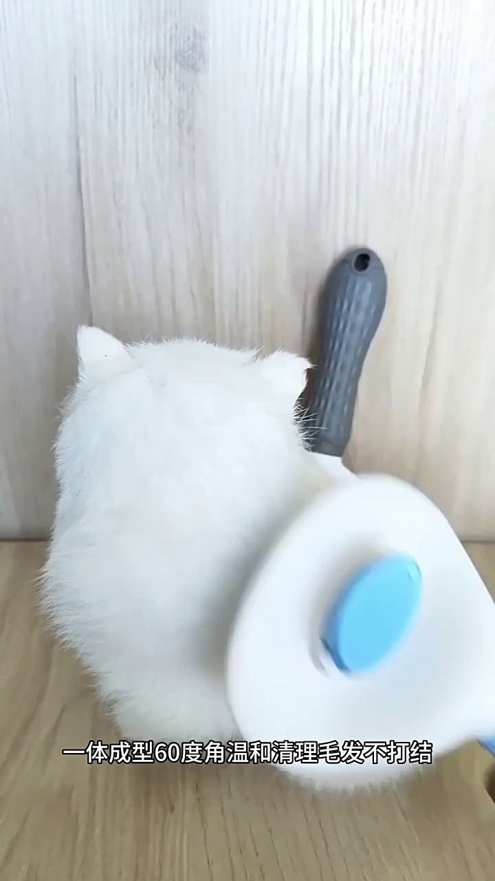 Stainless Steel Hair Remover for Cats and Dogs