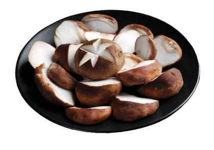 Shiitake Mushroom Farm Wholesale Price