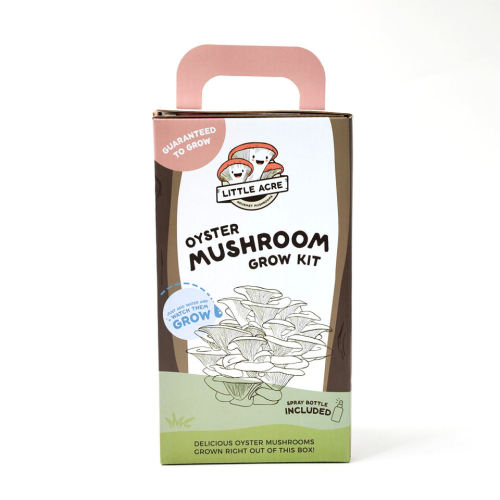 Kit personnalisé boîtes d'emballage de champignons en carton ondulé