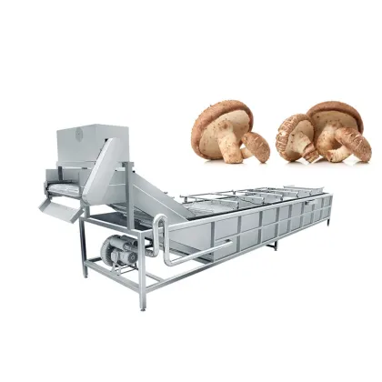 Professional Vegetable and Fruit Washer: Green Vegetable Washing Machine