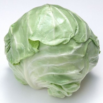 Fresh Cabbages From Different Origins