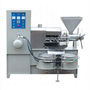 Mini Oil Press Machine for Vegetable, Rice Bran, Palm Kernel, Groundnut, and Sunflower - 100kg/h Capacity