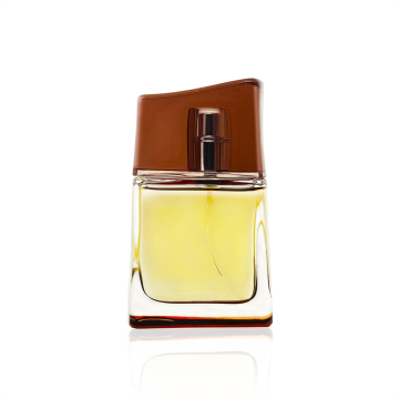 Luxury Ladies' Perfume Spray - 10ml Wholesale Fragrance for Women