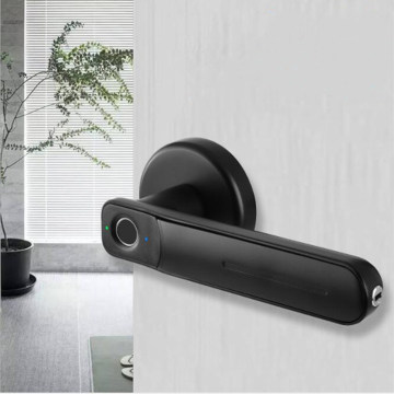Shenzhen Advanced Wooden Holves Home homewhold Electronic Impronta Intelligente Porta Intelligente