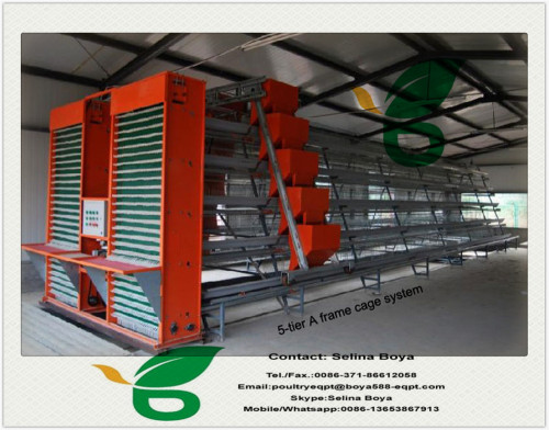 poultry layer cages