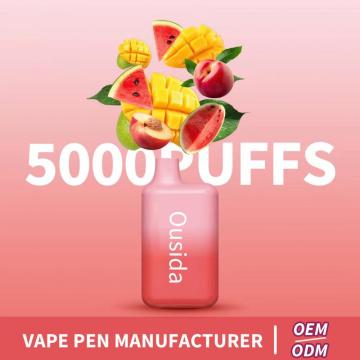 Elf bar BC5000 Puffs OEM Electronic Cigarette Vape