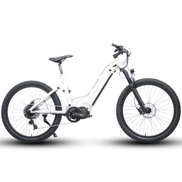 48V1000W Specter St Dual Battery Step-Orgension Compleens Complete Electric Mountain Bike Hunting/Fishing Bike