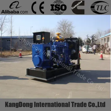 60HZ 50KW Water cooled natural gas generator