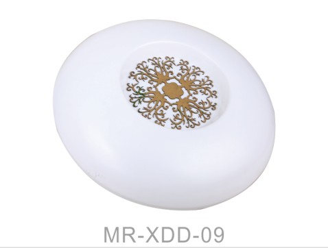 Energy Saving 9W Surface Mounted LED Ceiling Light (MR-XDD-230)