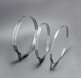 Ss304 Ladder Type Ball Lock Coated Stainless Cable Tie