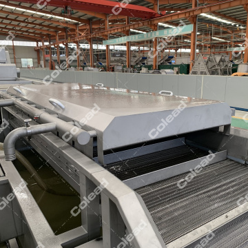 Continuous Blanching Machine for vegetable