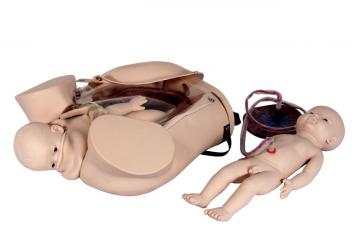 Childbirth Delivery Demonstration Model