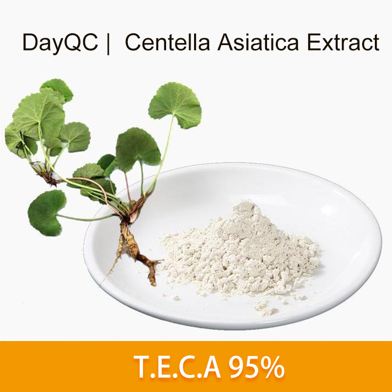 Extracto titulado de Centella asiatica TECA a granel 95%