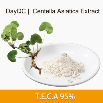 Titrierter Extrakt von Centella asiatica teca masse 95%