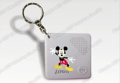 Voice Key Chain Key Ring Musical Key chain