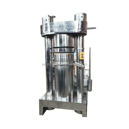 China Manufacturer High Quality Food Oil Hydraulic Press Household Oil Press