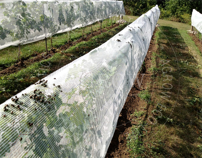 Fruit Zone Netting Systems