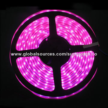 Blue Color Flexible LED Strip, 60 Pieces of 3528 SMD LEDs/Meter, 120 Degrees Beam AngleNew