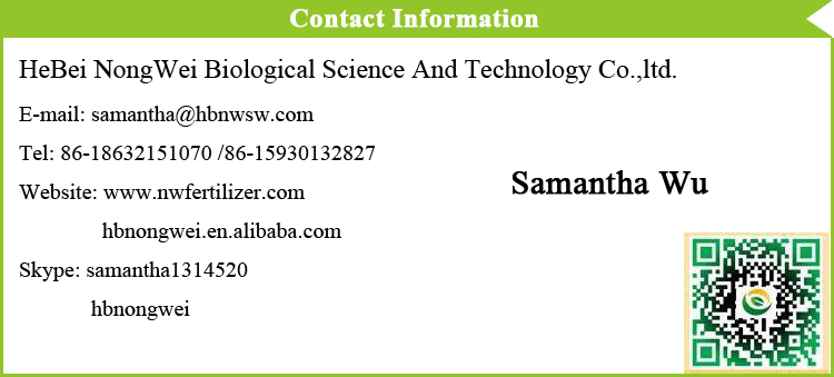 Factory Price For Granular Calcium Nitrate