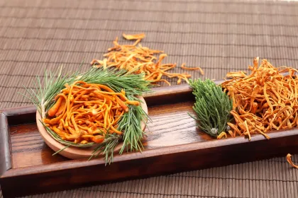 ISO22000 Healthy Frozen Cordyceps Flower-200G