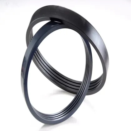 PEEK Oil Seal Peek Sealing Rings