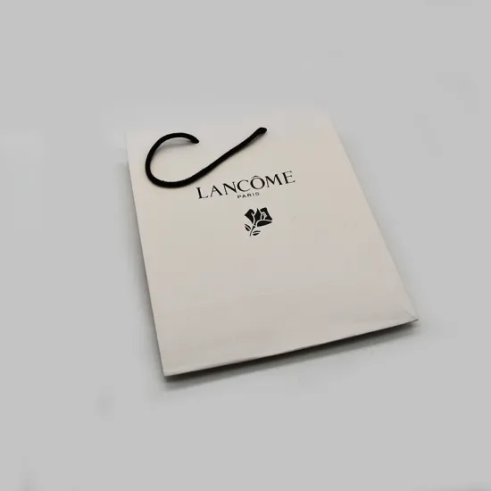 Custom Fashion New Handle Coated Paper Bag