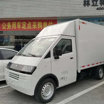 D08 Conventional van electric vehicle