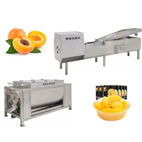 Leadworld 500kg Peeling and Washing Machine for Apricots and Peaches - Farm Processing with PLC Control