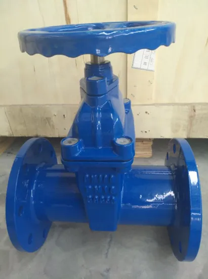 BS/DIN/ANSI resilient seated gate valve