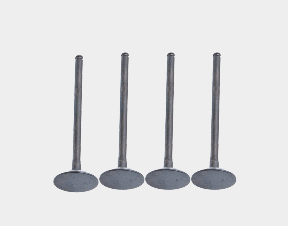 036109601AD Intake Valve for Engine