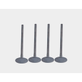 High Performance Intake Valves