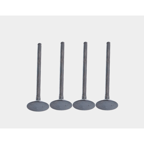 High Performance Intake Valves
