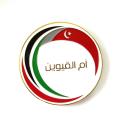 Emblema del metallo del falco di colore della bandiera del logo degli Emirati Arabi Uniti