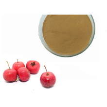 Best Selling Bulk Hawthorn Powder