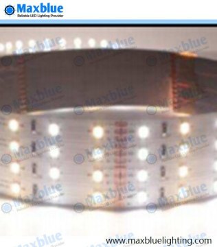 LED Strip 2835SMD 120LEDs Per Meter Dual White Bicolor LED Tape