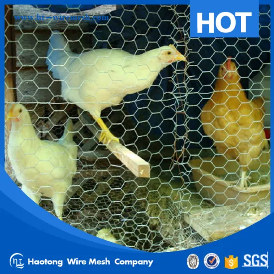 professional hexagonal chicken wire mesh