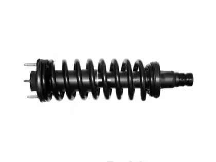 QYT 171341 Front Complete Strut Shock Absorber & Coil Spring Assembly for Buick Rainier