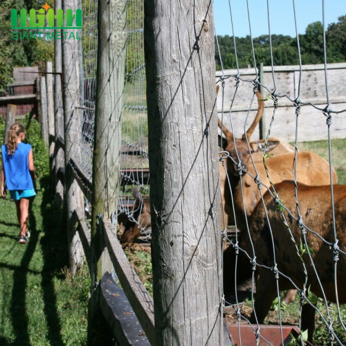 Thermisch verzinkte boerderij omheinings veepanelen