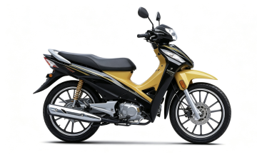 Elegant Low-Speed Light E-Bikes for Daily Rides