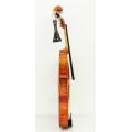 Met de hand aangebrachte spiritusvernis Advanced Violin