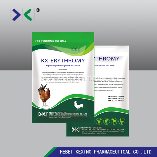 Erythromycin Thiocyanate 5٪ دواجن مسحوق قابل للذوبان