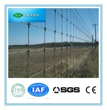 Hot Sale Galvanized Cattle Fence/factory production