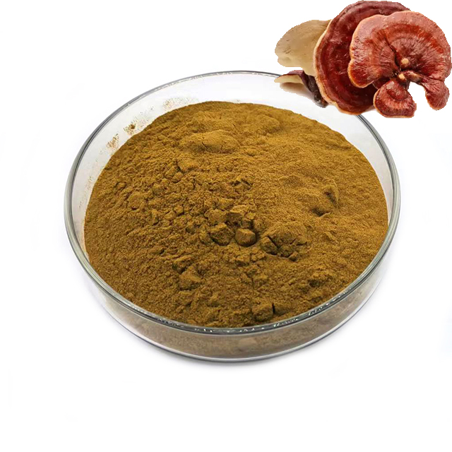 Reishi Mushroom Extract