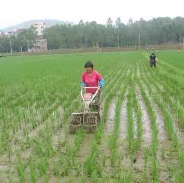 water field weeder