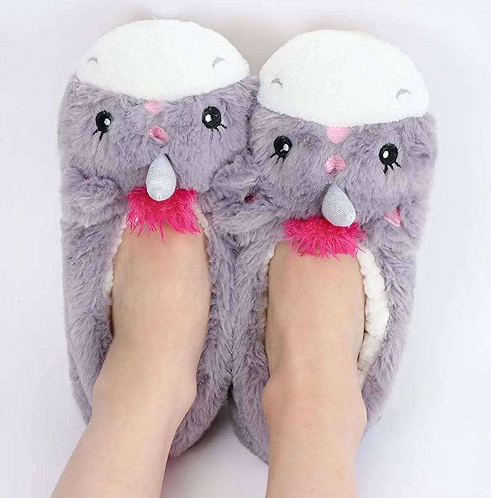 Home Ballerina Slippers