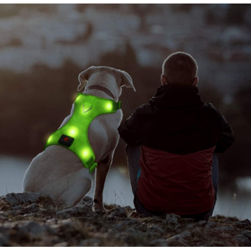 USB recargable sin arnés de chaleco mascota