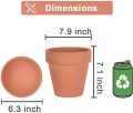 وعاء طين 8 بوصة للنبات مع الصحن