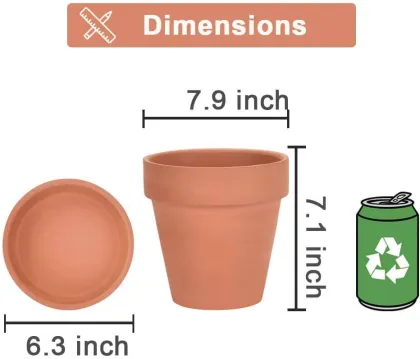 8 Inch Clay Pot for Plant with Saucer