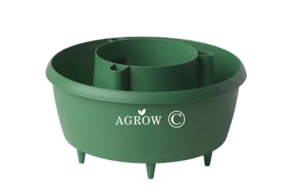 Tomato Growing Halos Watering Pot