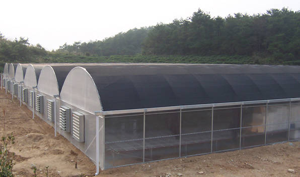 Poly tunnel house agriculture multi span film greenhouses